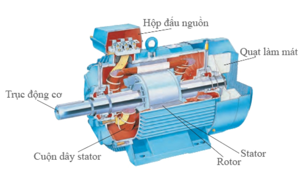 Cấu tạo motor