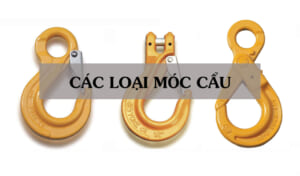 các loại móc cẩu